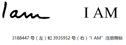 iam标2.png