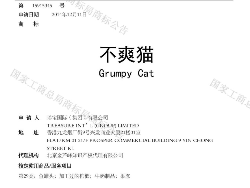 不爽猫.jpg