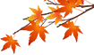 1536730901272511.png