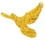 1552012573504062.png