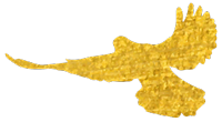 1552012573621981.png