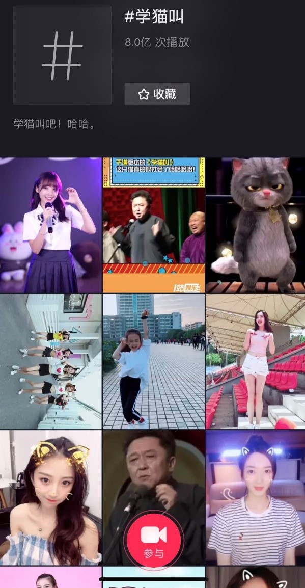 学猫叫.jpg